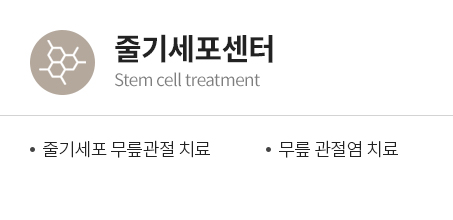 줄기세포치료